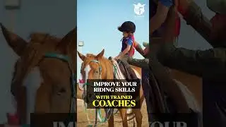 Al Madam Horse riding school in Dubai UAE