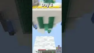 Daily in minecraft chacha bridge #minecraft #shorts #challenge #10Ksub