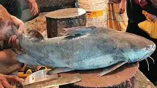 Incredible Giant Catfish Cutting Live In Fish Market | Fish Cutting Skills