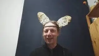 Wearable Brain/Computer Interface - a funny robot steered by brainwaves