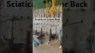 Lower back pain and sciatica therapy @yogatute #sciatica #lowerbackpain #backpain #yoga #therapy