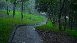 Listen to the rain on the Park path, relax, reduce anxiety, and sleep deeply ,ASMR