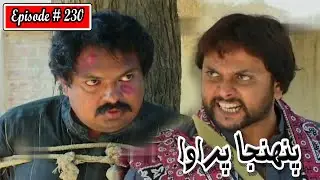 Pahinja Parawa Episode 230 Sindhi Drama | Sindhi Dramas 2022