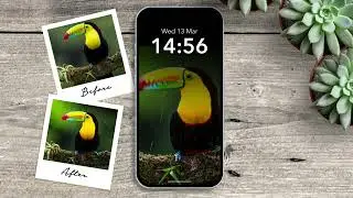 Lightroom  Mobile editing tutorial | Nature and vivid style | No Talking