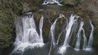 Beaver Falls - Olympic Peninsula