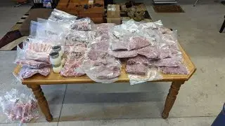 Total Poundage and Time Numbers from 3 Katahdin Lambs