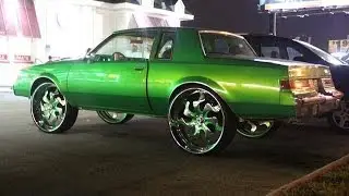 Kandy Green Regal Sitting Nice On 28