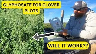 Spraying Weeds With Glyphosate In My Clover Food Plot
