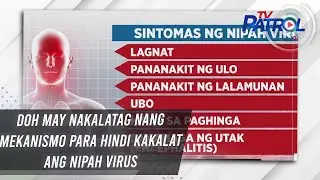 DOH may nakalatag nang mekanismo para hindi kakalat ang Nipah virus | TV Patrol