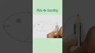 Fish Drawing easy | How to draw Fish with Pencil Shading | fish Drawing easy #shorts #ytshorts #art