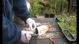 bird feeders how to stop rats and squirrels