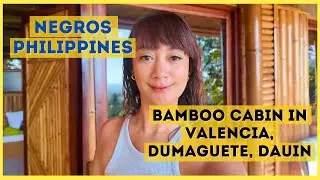 Negros Oriental (We Stayed in a Bamboo Cabin)
