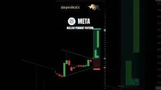 📈 META &ndash; Bullish Pennant Breakout #trendtrading #tradingrules #tradingcharts #stageanalysis #eurusd