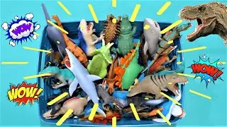 BOX DINOREX &co  Caja con DINO &co  Indominus rex - Tyrannosaurus rex