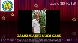 BALRAM AGRI FARM CARE trusted farmer  || review kissan || BALRAM GIVES BEST QUALITY SEEDS