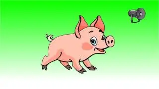 Pig squealing sound effect