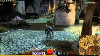 GW2 Divinity's Reach Map Vistas
