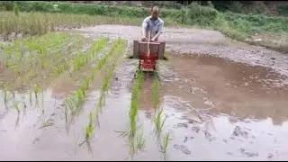 Double Row Manual Rice Planter | COD Available | Call Us - 7829055044