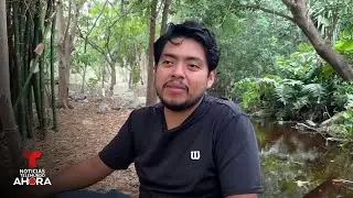 Este joven adoptó al perro callejero que se hizo viral por tomar un peluche | Noticias Telemundo