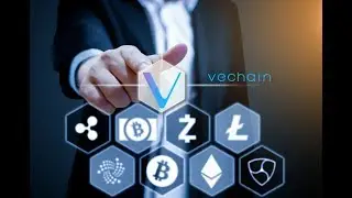 VECHAIN STOMPS NEO, NEO TO ZERO