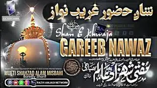آواز حضرت علامہ مولانا مفتی شہزاد عالم مصباحی بریلی شریف 🌹🌹🌹