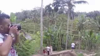 Tenggalang Rice Ubud Bali Part 1