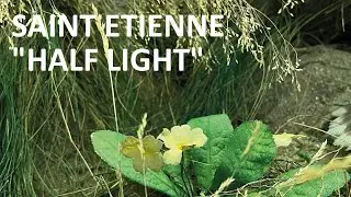 Saint Etienne - Half Light - single version