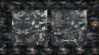 CONDENADO -  ANIMALES PUNK