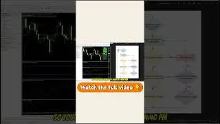 Stop Guessing! Trading for Beginners Made Easy (Full Tutorial)