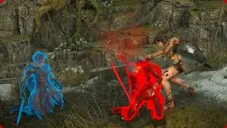 Demon's Souls Invasions but it's kinda weird