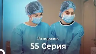 Зимородок 55 Cерия (Русский дубляж) (4K)