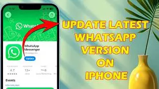 How to update latest WhatsApp version on iphone