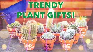 Giving away TRENDY Cacti & Succulents, PERFECT plant gift ideas!