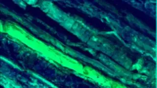 hyperflare - strata ft. Oceanically