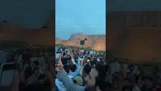 Celebration in Peshawar over the release of Imran Khan #shorts #fyp #ik #imrankhan