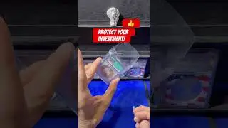 Coin SLAB Protection #coin #silvercoins