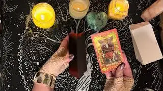 Nancy Guthrie; Brief Psychic Tarot Reading and Updates 