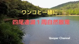 四尾連湖を周遊自然散策