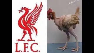 Liverpool&rsquo;s last 5 games 🤣 #liverpool #fans #soccer #football #funny #fun 