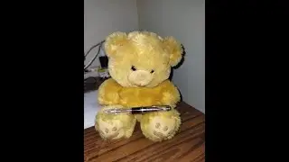 Little brown bear on quantum computing