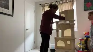 Putting together our new Hey Brother Cat Tree & First Impression