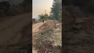 Morning workout #outdoors #outdoorwork #hindisong #nature