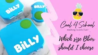 Which size B box lunchbox should you choose? Full review!