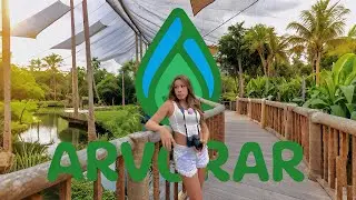 Novo parque no Brasil! Arvorar | Beach Park - Aviários, natureza, sustentabilidade e muita diversão!