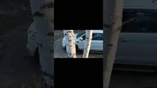 #JACT8pro #покатушки #лес #проверканапрочеость #turbo