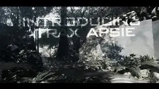 Introducing Atrax Apsie - by Atrax Shaggy