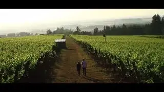 American Wine Story Trailer