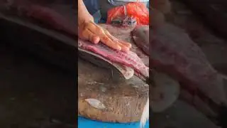 Fish cutting Survival tips #music #travel #summer #drone #fish