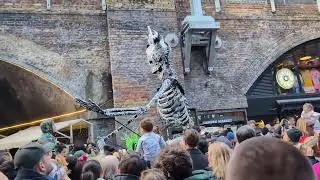 Dia de los muertos at Hawley Wharf #CamdenMarket #London 1/11/25
