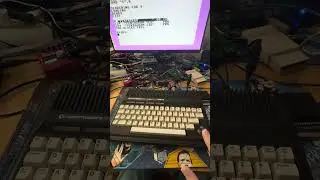 My Commodore Plus/4 with JiffyDOS